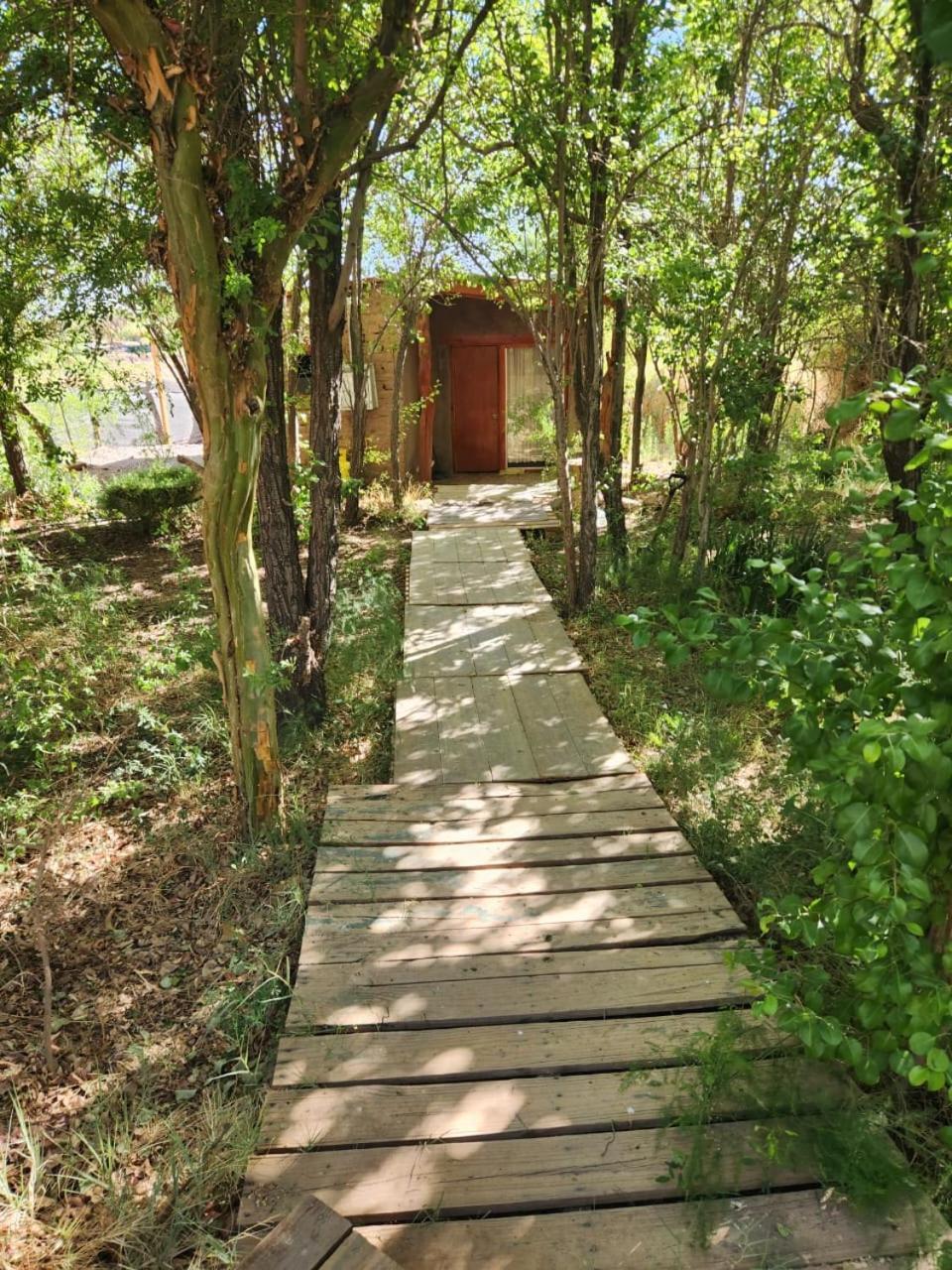 Hospedaje Rural Casa De Felix 산 페드로 데 아타카마 외부 사진